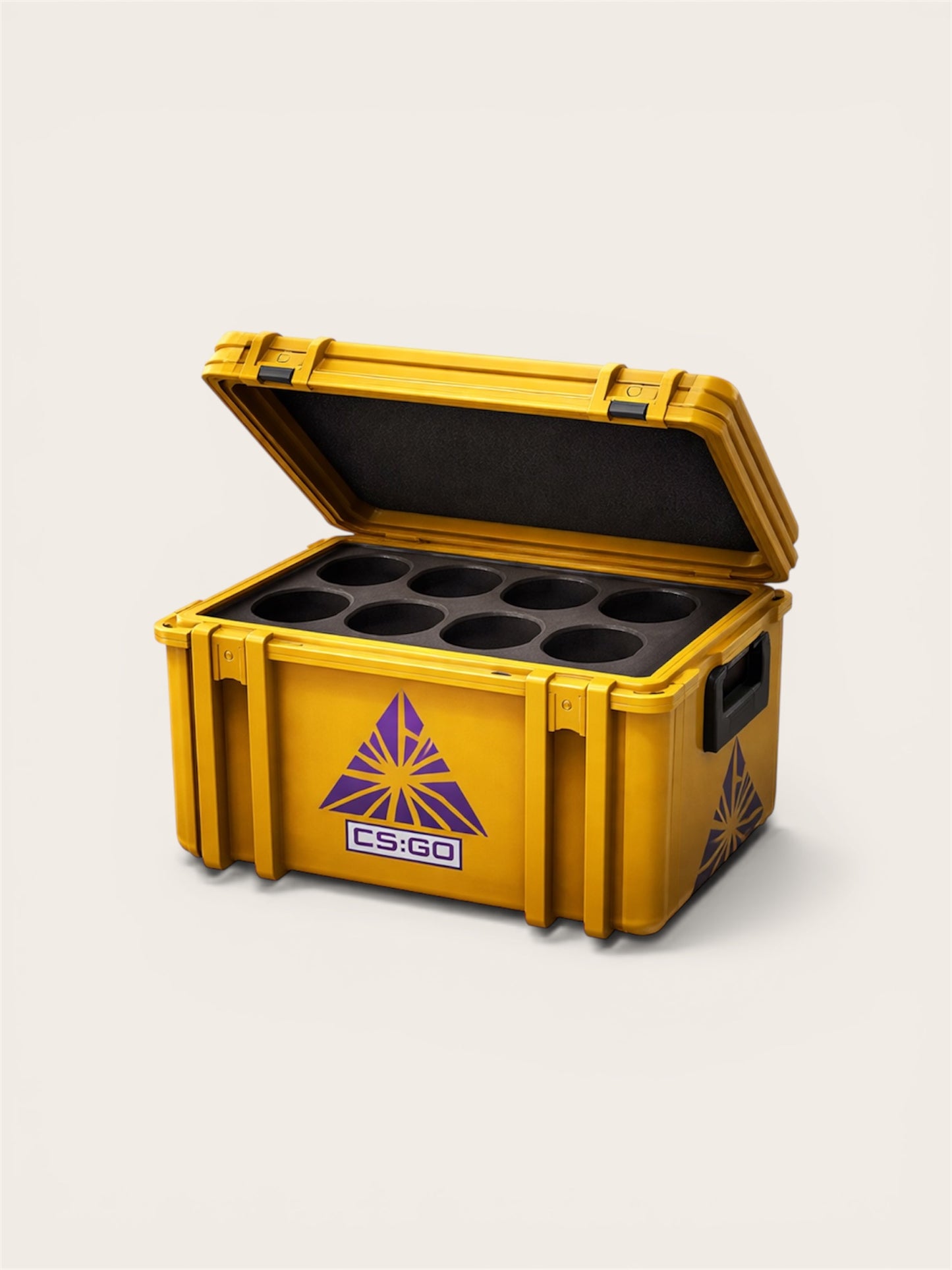 CSGO Case